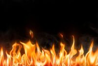 1769339049145-ilustrasi-api_169