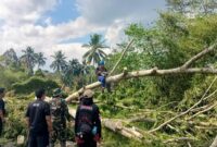 1769339079628-pohon-tumbang-di-tasikmalaya-1769316337498_169