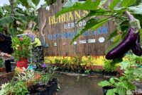 1769403851672-suasana-buruan-sae-bertoga-padepokan-hegar-1769339272477_169