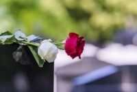 1769403857531-ilustrasi-karangan-bunga_169