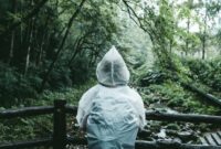 1769555050054-ilustrasi-traveling-saat-musim-hujan-1769253534128_169